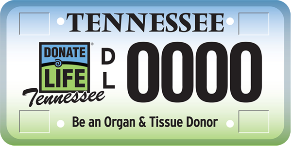 A faux license plate showcasing what an Organ Donor Specialty License Plate looks like: the top part light blue gradient fading into light green on the plate bottom, with the Donate Life Tennessee logo, and the phrase 
